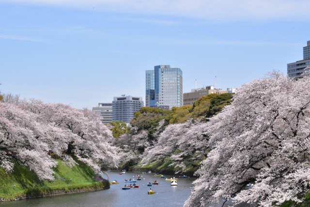 千鳥ヶ淵