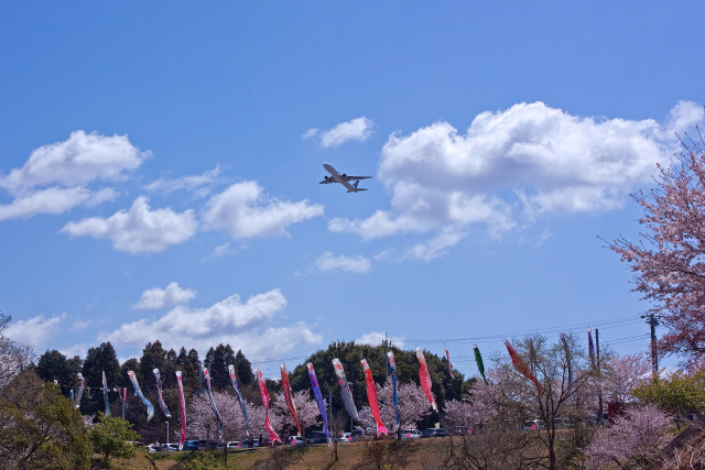 さくらの山公園