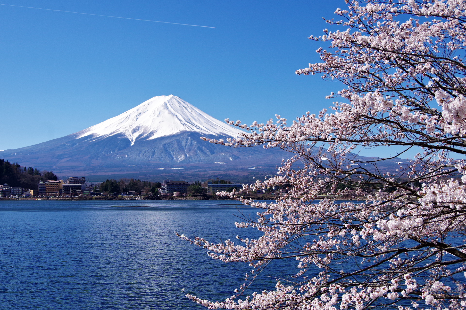 日本の風景 河口湖の春 壁紙19x1280 壁紙館