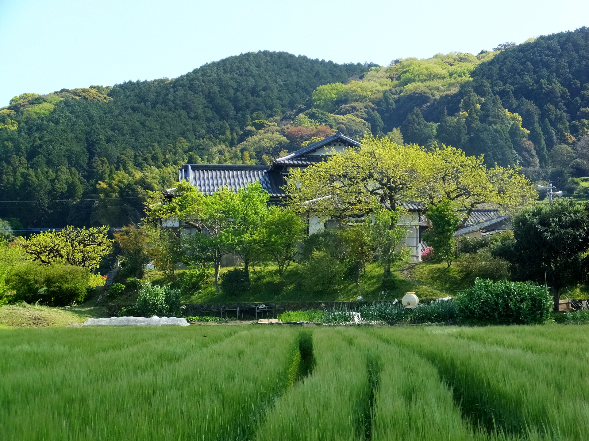 日本の風景 山里の春景色 壁紙19x1440 壁紙館