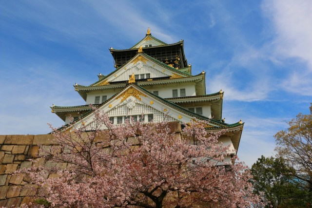 大阪城桜