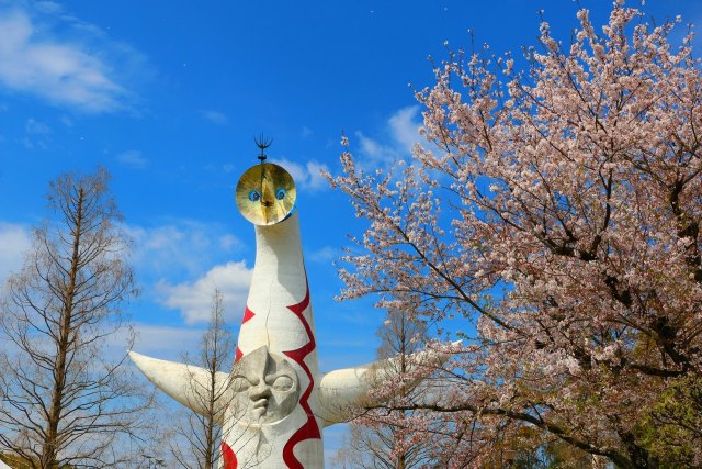 太陽の塔と桜