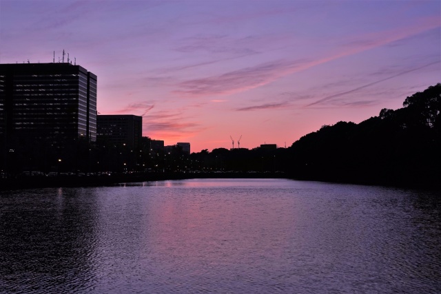 日比谷濠の夕景