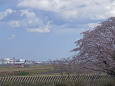 成田空港