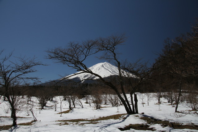 春の雪景色