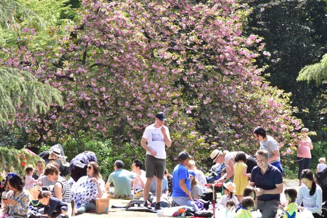 外国人にも人気の新宿御苑