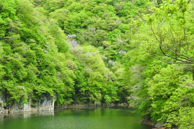 新緑 帝釈峡