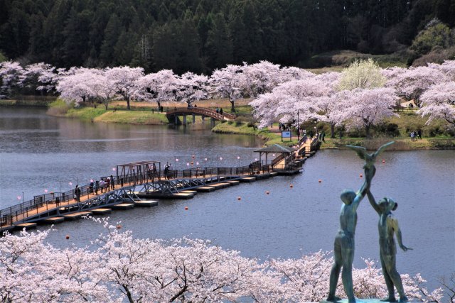 春の平筒沼