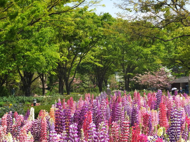 緑と花、春の公園風景