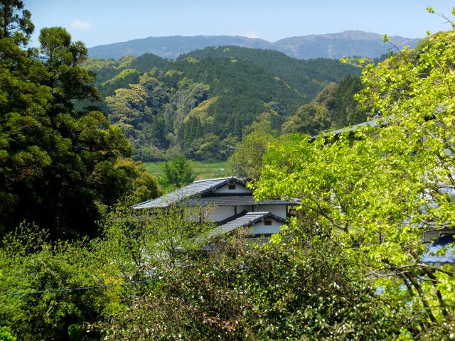 山里の春景色