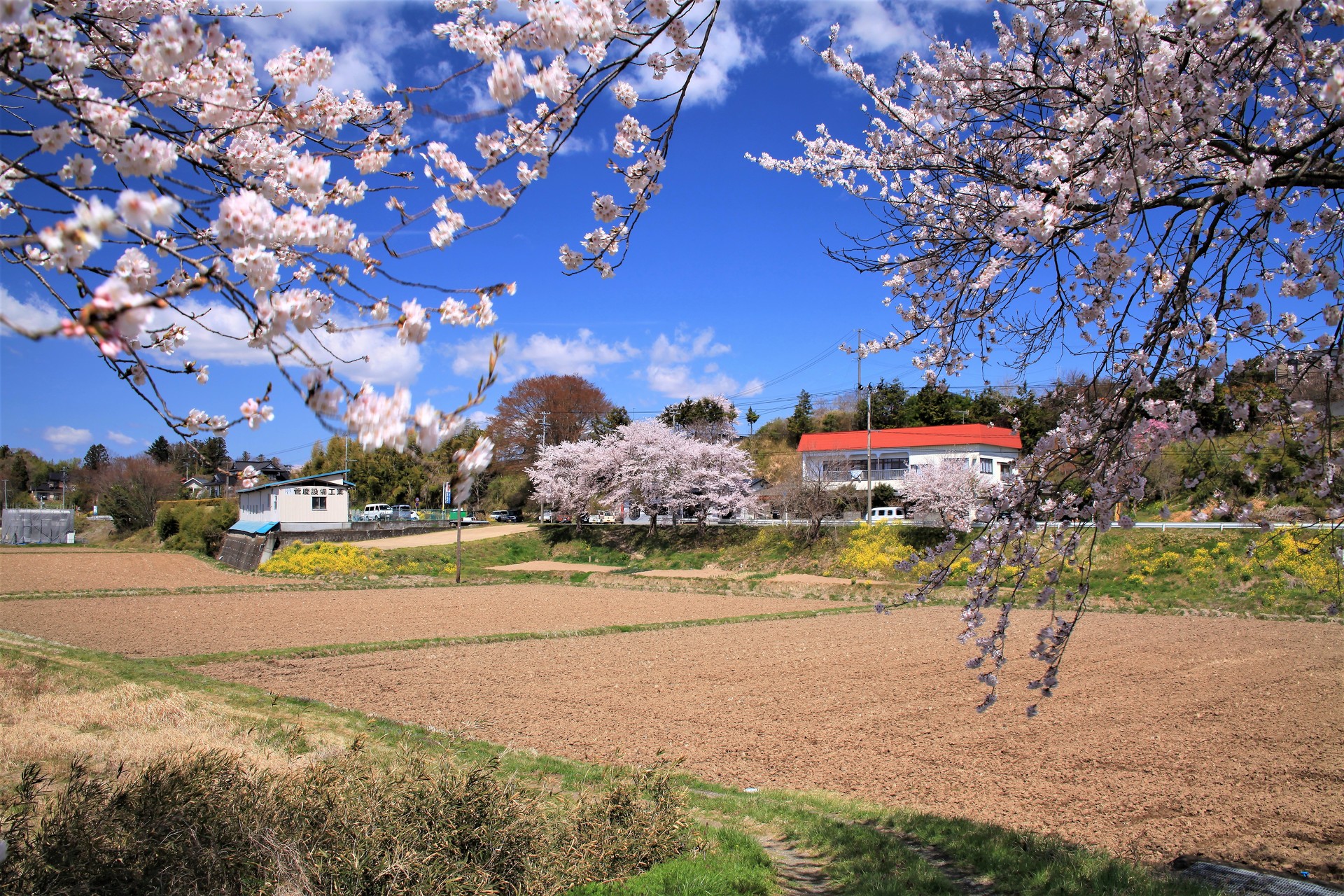 日本の風景 みなみかた春風景 壁紙19x1280 壁紙館