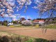 みなみかた春風景