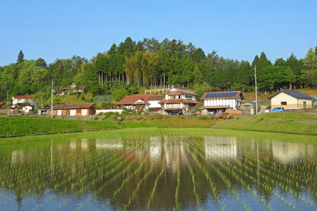 山里の田植え始まる