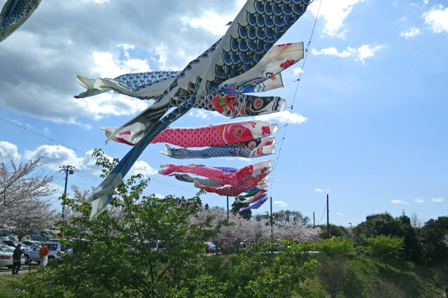 さくらの山公園