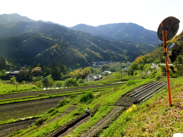 山間部の春景色