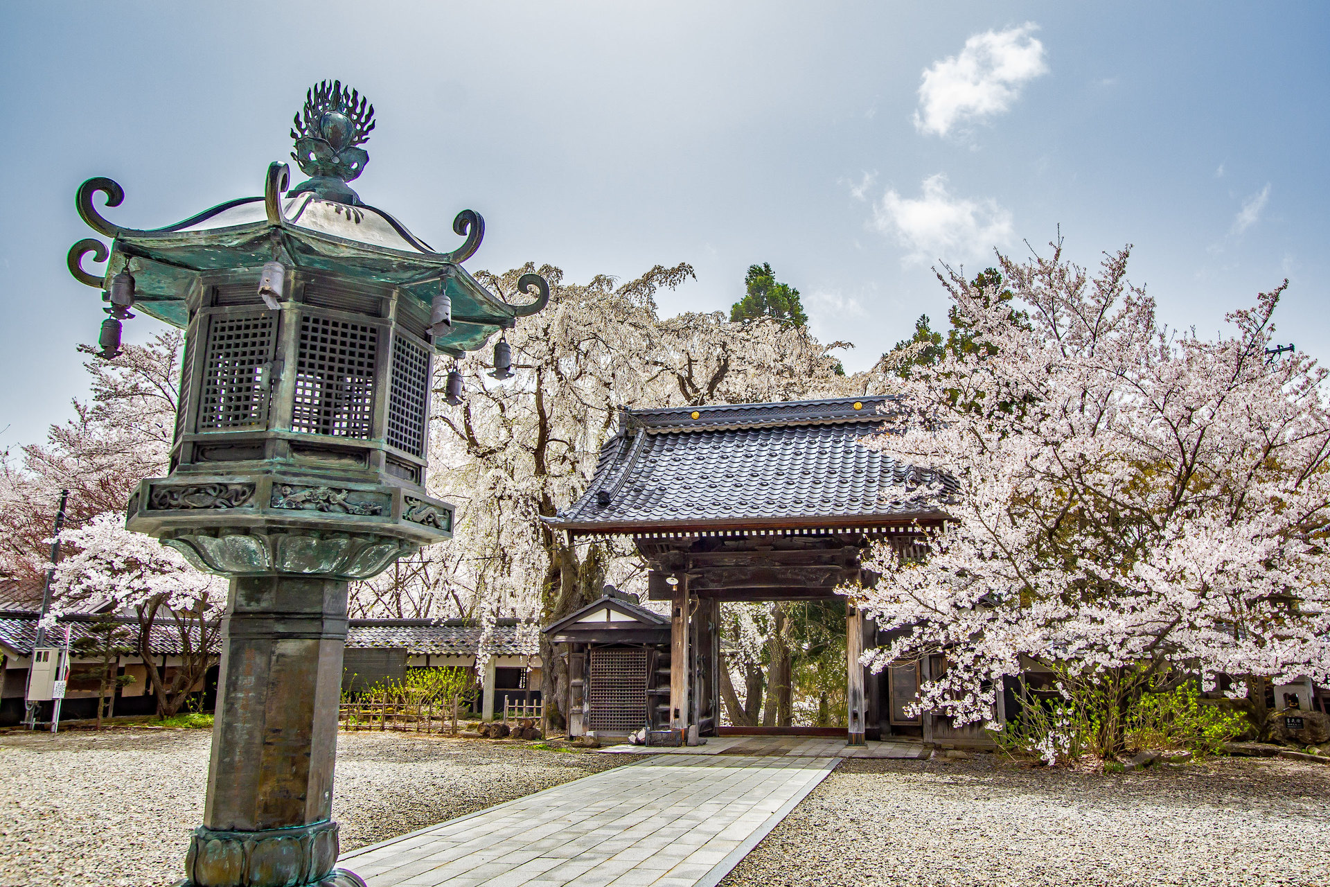 日本の風景 谷厳寺の桜 壁紙19x1280 壁紙館