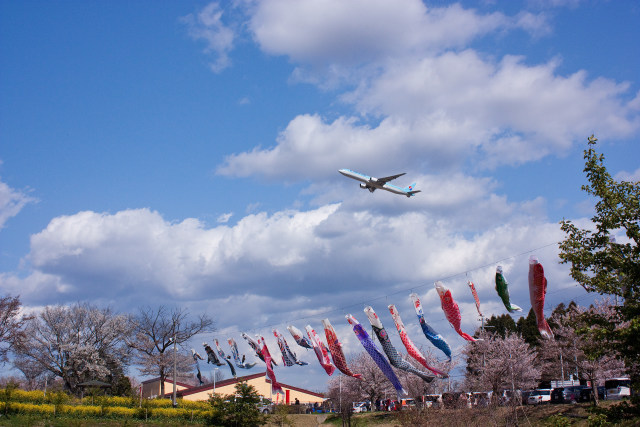 さくらの山公園