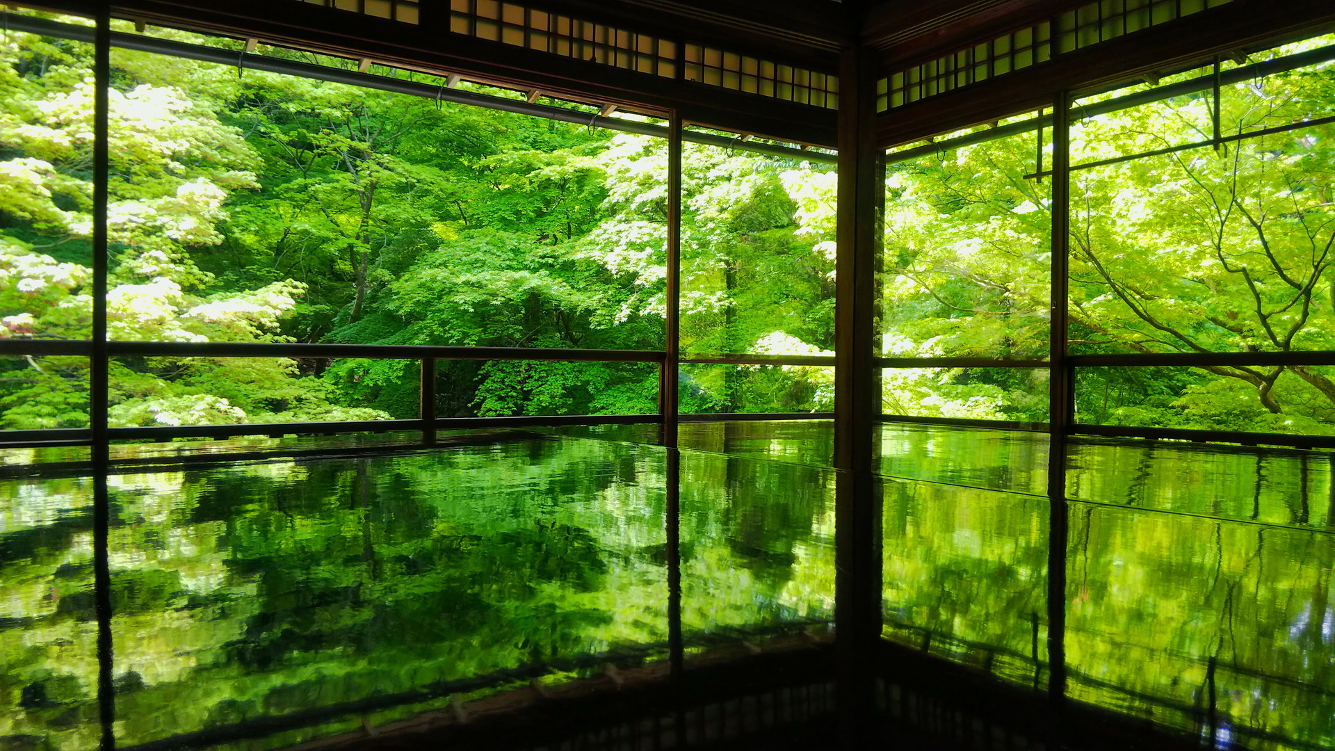 日本の風景 新緑 壁紙19x1080 壁紙館
