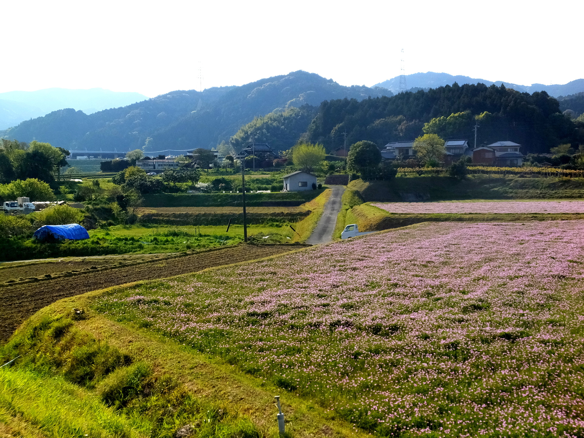日本の風景 田舎の春景色 壁紙19x1440 壁紙館