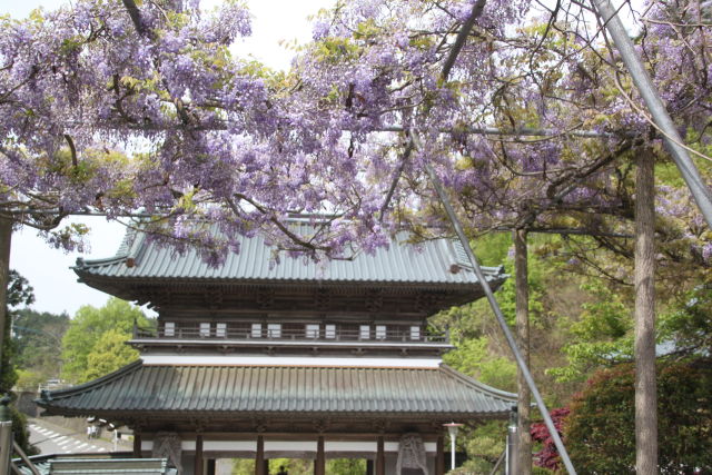 山藤戸寺の門