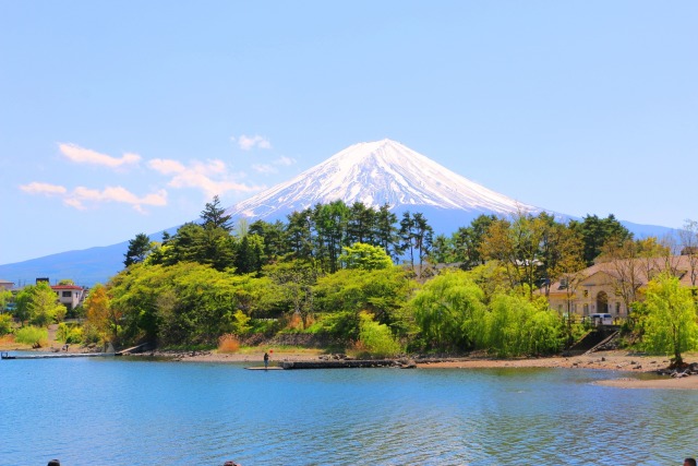 新緑の富士山