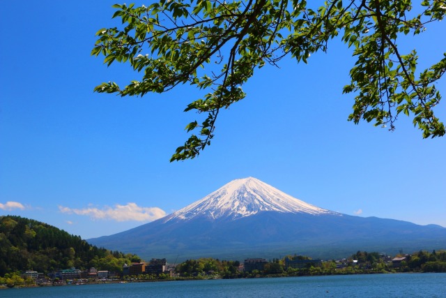 新緑の富士山