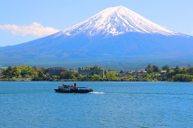 新緑の富士山