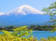 新緑の富士山