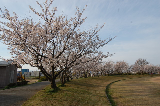 近所の公園