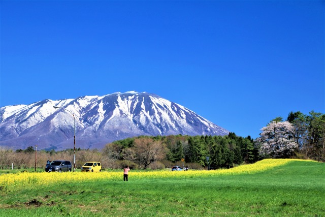 春の小岩井農場