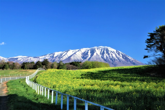 小岩井農場