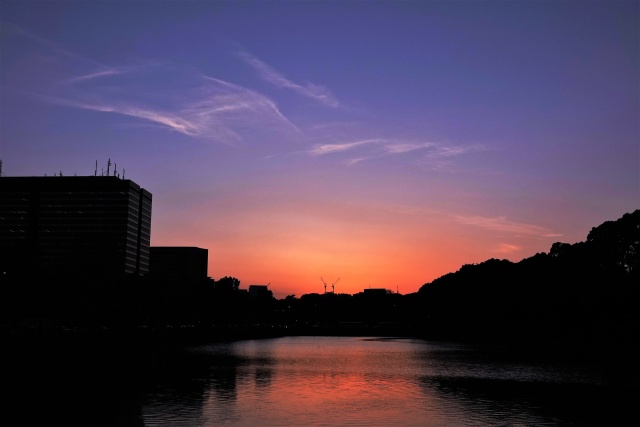 日比谷濠の夕景