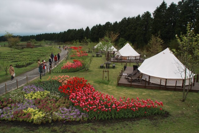 花公園の宿