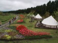 花公園の宿