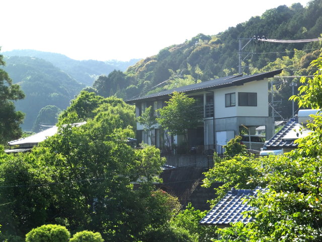 緑の山里