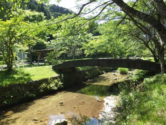 緑の渓流公園