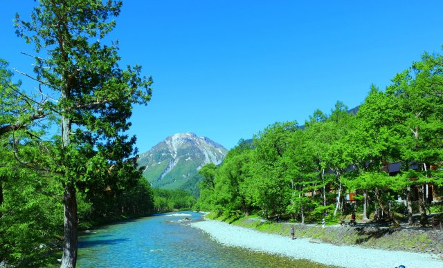 新緑の上高地