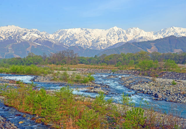 白馬村の初夏-2