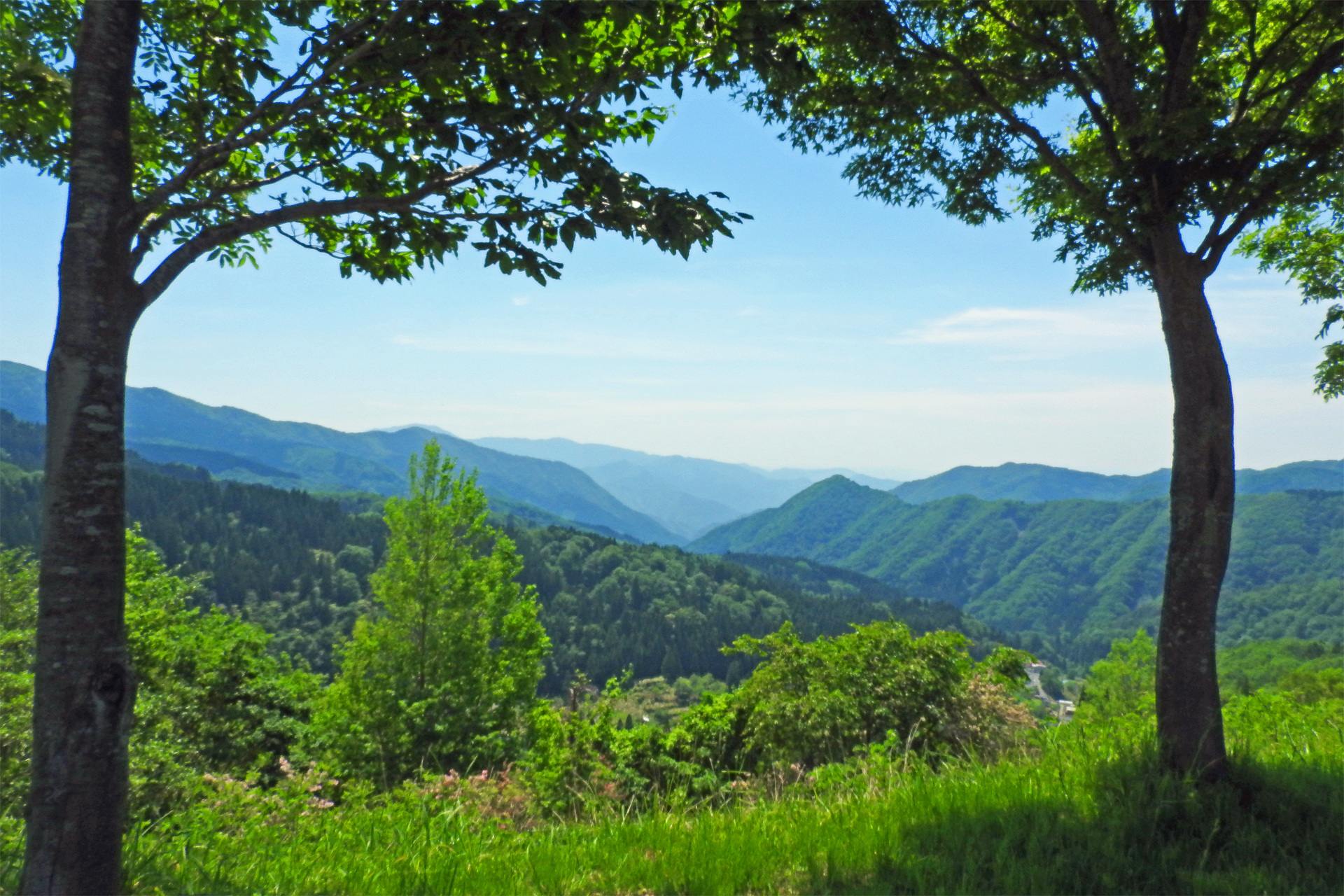 日本の風景 夏山の季節へ2 壁紙19x1280 壁紙館