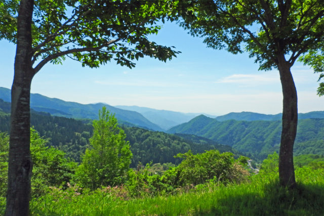 夏山の季節へ2