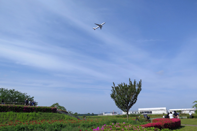 成田空港