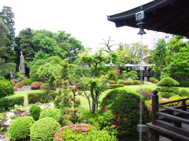 帝釈天の庭園