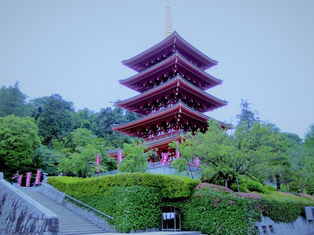 初夏の高幡不動五重塔