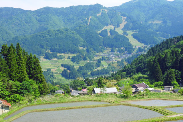 初夏の山里