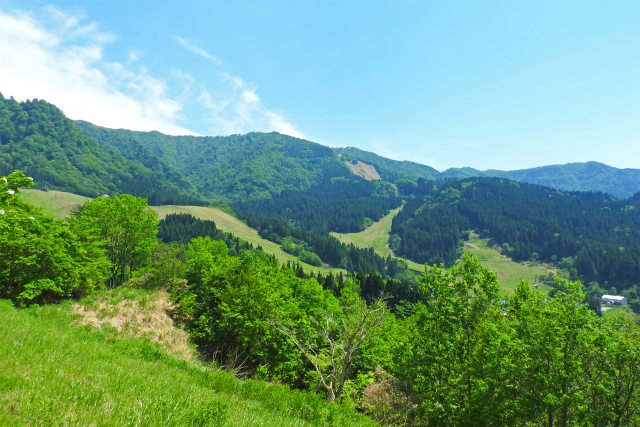 夏山の季節へ3