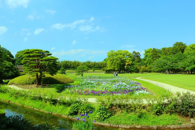 新緑の後楽園