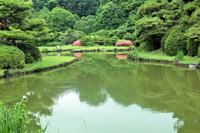 初夏の日本庭園