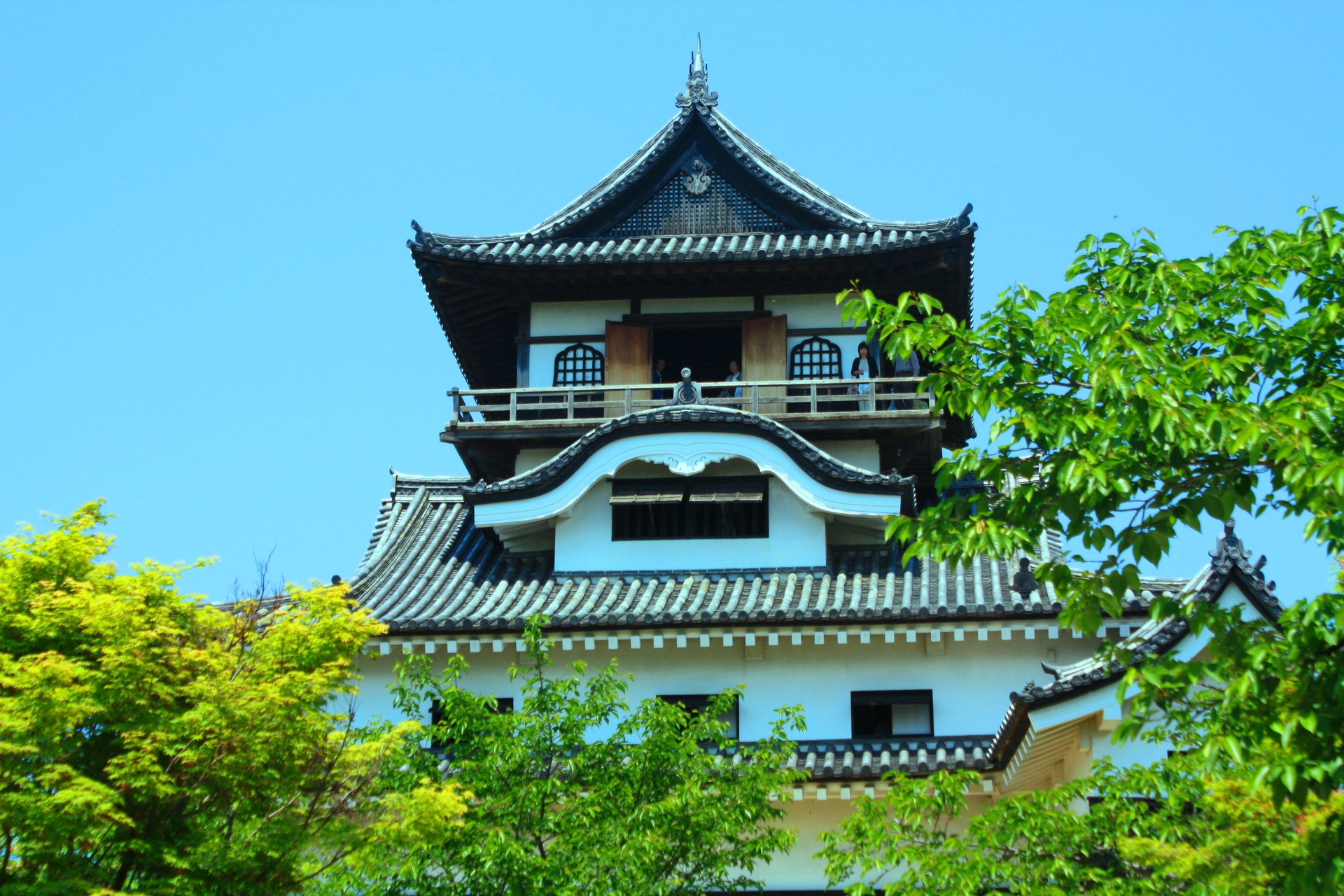 日本の風景 新緑の犬山城 壁紙19x1280 壁紙館