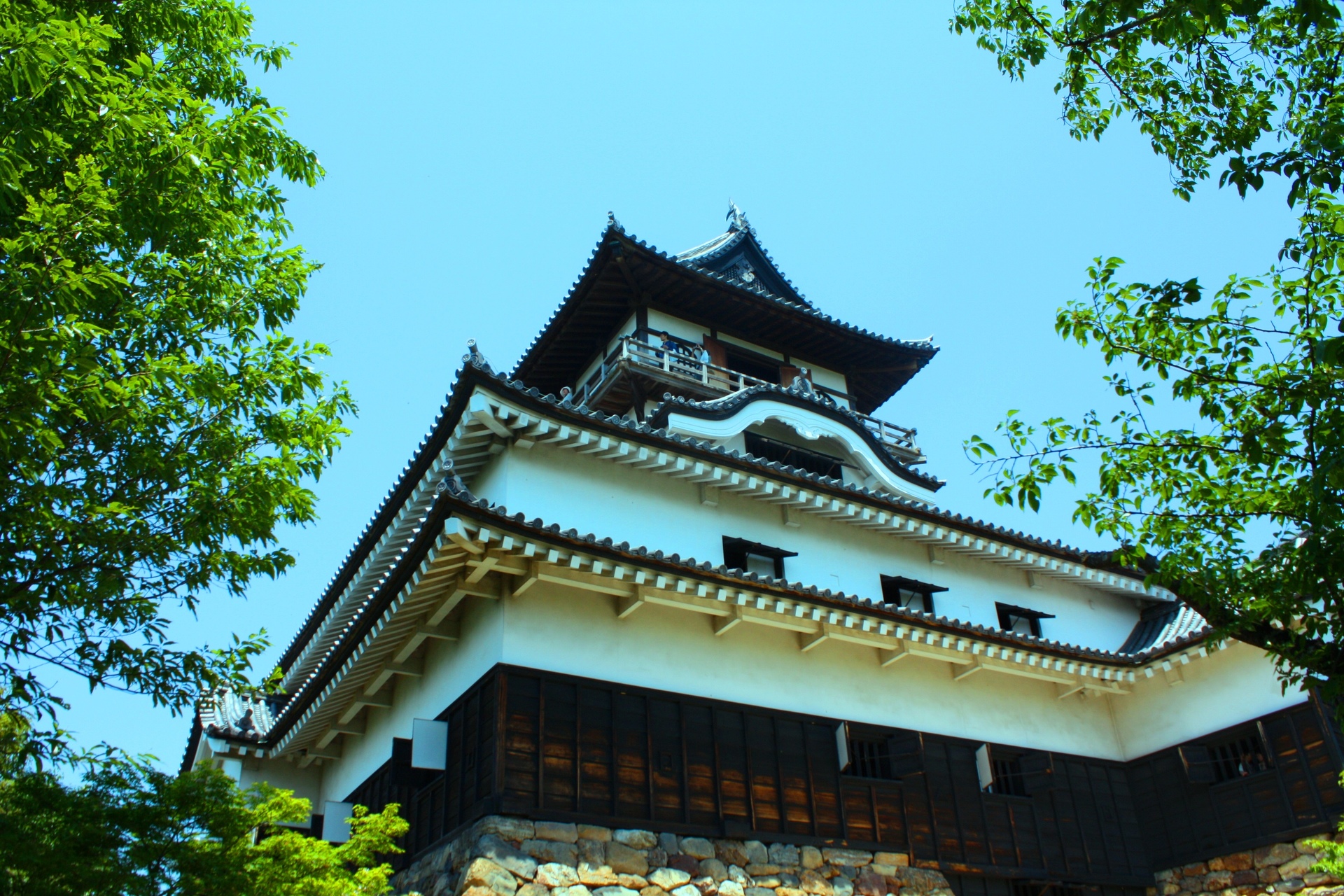 日本の風景 新緑の犬山城 壁紙19x1280 壁紙館