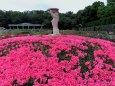 神代植物園の風景